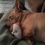 Keith Seltzer - @seltz409 - Instagram