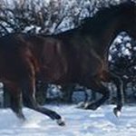 Keith Senior - @senior_keith - Instagram