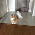 Keith Senior - @keithsenior52 - Instagram