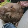 keithstinnett - @keith.stinnett - TikTok