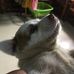 Thea Keith Seran - Facebook