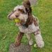 Keith Shackell - Facebook