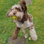 Keith Shackell - @keithshackell - Instagram