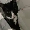 kait - @kait.siegfried - TikTok