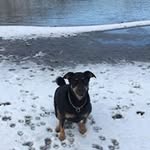 Keith Simonson - @knup9876 - Instagram