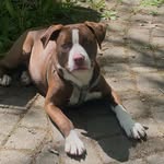 Keith Simonson Jr. - @keithstone13 - Instagram