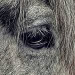 Keith Simpson Photography - @keithsimpsonphotography - Instagram