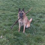 Keith Slade - @slade4475 - Instagram