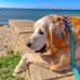 Keith Solberg - Facebook