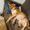 Keith - @keithsorenson - TikTok