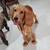 Sathish - @keith.sowder - TikTok