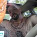 Keith Staggs - Facebook