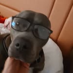 Keith Staggs - @keithstaggs45130 - Instagram