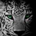 Keith Staggs - Facebook