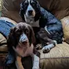 keithstanford659 - @keithstanford659 - TikTok