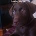 Keith Stapleton - Facebook