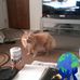 Keith Stepp - Facebook