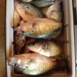 Keith Strawn - @keithstrawn - Instagram
