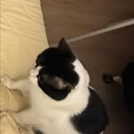 Keith Sturm - @sturm5395 - Instagram