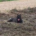 Keith Summerford - @keithsummerford - Instagram
