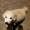 Keith Sylvester - @keith.sylvester58 - TikTok