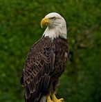 Keith Taber - Facebook