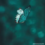 Keith Tackett - @tackett2649 - Instagram