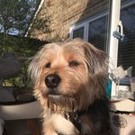 KeithandJude Tasker - @keithandjudetasker - Instagram
