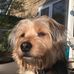 KeithandJude Tasker - Facebook