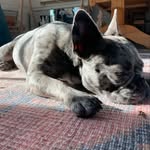 Keith Terhune - @terhunekeith - Instagram