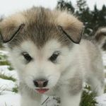 Keith terwilliger - @terwilliger.keith - Instagram