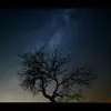 Keith Tew Guang Yu - @keithtewguangyu - TikTok