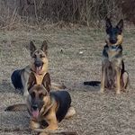Keith Thomason - @keith.thomason.37 - Instagram