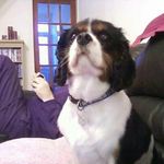 Keith Thorpe - @spiderthorpe123 - Instagram