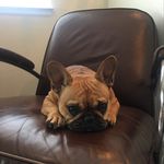 Keith Timm - @timmkeith - Instagram