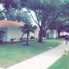 keithtimms260 - @keithtimms260 - TikTok