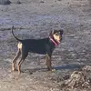 user94138481211135 - @keith.timms6 - TikTok