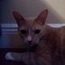 Keith Tincher - Facebook