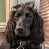 Keith Tomline - @keith.tomline - TikTok