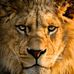 Keith Triggs Jr. - Facebook