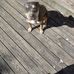 Keith Trimble - Facebook