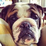 Keith Trott - @ktrott1968 - Instagram