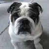 keithtrott725 - @keithtrott725 - TikTok