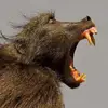keithtrue290 - @keithtrue290 - TikTok