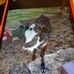 Keith Tutterow - Facebook