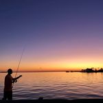 Keith Tynes - @davidmcguffy - Instagram