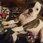 Keith Ulman - @keith_ulmanyahoo.com_ - Instagram