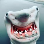 Keith Vanhoose - @vanhoosekeith - Instagram