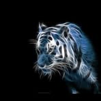 Keith Van Meter - Facebook