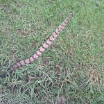 Keith Vickers - @keith.vickers.549 - Instagram